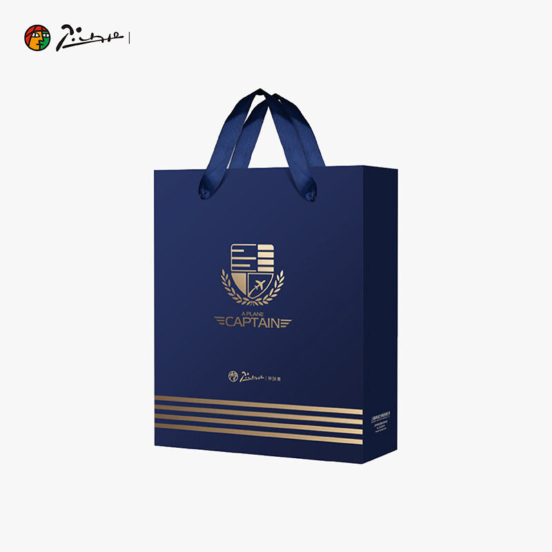 Bút máy ký tên Picasso phiên bản Plane Captain đặc biệt - Ảnh 5