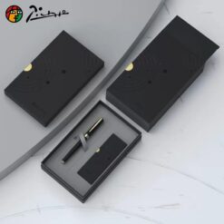 Bút bi Picasso 717 RB chính hãng cao cấp